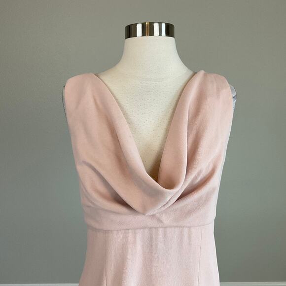 Adrianna Papell Backless Evening Gown Pink Size 10 Sleeveless Cowl Neck A-Line - Picture 6 of 12